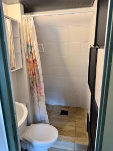 a small bathroom with a toilet and a sink at Domek Kitara in Skorochow +15 photos