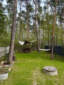 a hammock in a park with trees and grass at Domek Kitara in Skorochow
