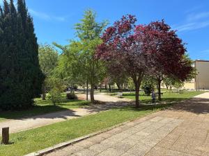 a park with trees with red leaves and a sidewalk at Studio 25m2 à deux pas des thermes in Balaruc-les-Bains