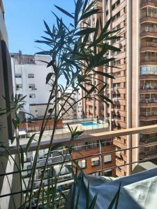 a plant on a balcony with buildings in the background at A Estrenar Estudio las Cañitas in Buenos Aires