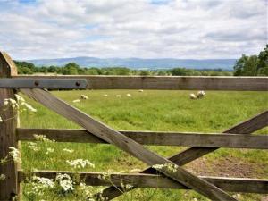 a wooden fence with sheep grazing in a field at 1 Bed in Penrith oc-90416 in Kirkoswald +7 photos