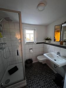 a bathroom with a toilet and a sink and a shower at Ferienhaus Kaline in Grebenhain