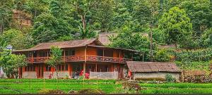 a house in the middle of a green field at Mắn Mẩy homestay in Tả Van