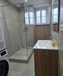 a bathroom with a shower and a sink and a shower at Atomium Apartment 2 in Brussels
