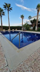 a swimming pool with palm trees in the background at Latchi Marina in Lachi