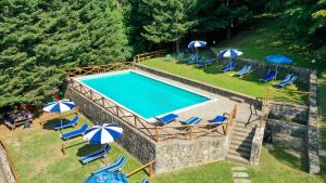 an overhead view of a swimming pool with chairs and umbrellas at Locanda Le Isole in Poggio al Pozzo