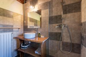 a bathroom with a sink and a shower at Gîte de la Séoube in Campan