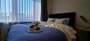 a bedroom with a bed with a blue comforter and a window at Rohu Apartment in Pärnu