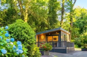 a tiny house in the woods with blue flowers at Aberdunant Hall Holiday Park, Snowdonia in Porthmadog +56 photos