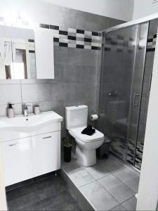 a bathroom with a sink and a toilet and a shower at Seawaves in Ierissos