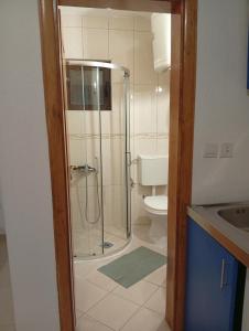 a bathroom with a shower and a toilet at Kolovic Susanj in Bar +9 photos