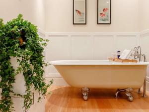 a bathroom with a bath tub and a plant at 4 Bed in Brechin oc-89698 in Brechin +26 photos