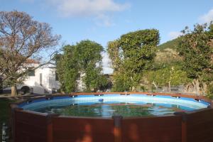 a large swimming pool in a fence with trees at Quinta Velha in Ribeira Grande