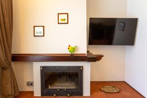 a living room with a fireplace with a flat screen tv at Ca'Bastian-Guest House in Moruzzo
