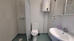 a bathroom with a white toilet and a sink at North Home in Skellefteå