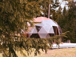 a dome tent is shown behind a tree at Miško Perlas in Buožėnai