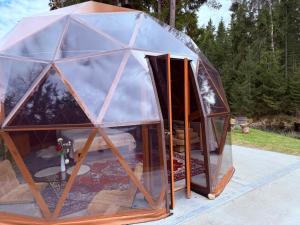 an igloo house with a patio in a yard at Miško Perlas in Buožėnai +9 photos