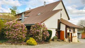 a white house with a brown roof and two bushes at B&B Herberg im Eichberg in Dettighofen