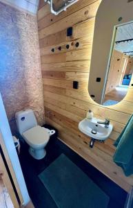 a bathroom with a toilet and a sink and a mirror at Obytný vagón Bzová Běleč in Kamberk