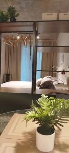 a room with two bunk beds and a table with a plant at Petit BANFIELD in Banfield
