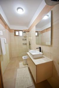 a bathroom with a sink and a toilet at Dedi Apartment 1 in Shkodër