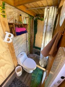 Draufsicht auf eine Toilette in einem Minihaus in der Unterkunft Barbablancaspa in San José de Maipo + 10 Fotos