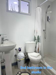 a bathroom with a toilet and a sink and a shower at Cactus & Cove Villa in Santa Cruz +13 photos