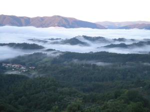 a view of a valley filled with clouds and trees at B&B QUIConti in Agnino +2 photos
