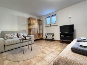 a living room with a couch and a tv at Ca' dal Bagatt Losone Campagna in Losone