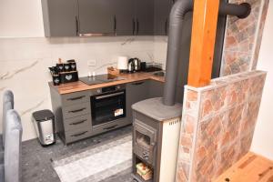a kitchen with a wood stove in a room at Villa Boris in Junčev Do