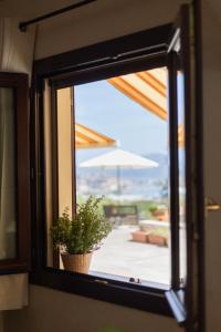 a window with a potted plant looking out at a patio at Appartamenti Bellavista by ElbaSummer in Portoferraio