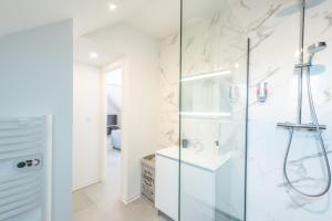 a bathroom with a glass shower and a sink at Le Carre Saint Pierre - Chambres d'hôtes in Marey-lès-Fussey +116 photos