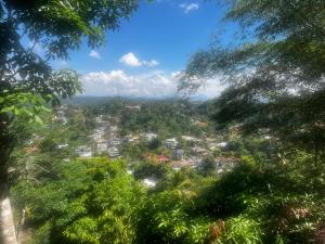 a view of a city from among trees at Long Villa in Kandy
