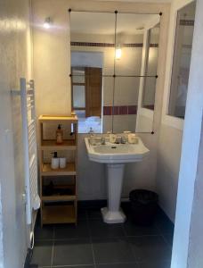 a bathroom with a sink and a mirror at Le Chant des Elfes in Samer