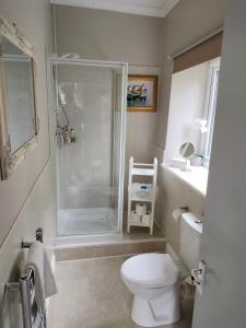 a white bathroom with a shower and a toilet at Coxwold Tearoom in Coxwold