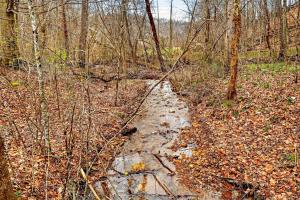 a dirt trail in the woods with trees at Creekside Hideaway in Laurelville