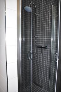 a shower with a glass door in a bathroom at Ferienunterkunft Grüner Weg in Ueckermünde