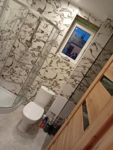 a bathroom with a toilet and a wall with wallpaper at Krakowski in Boguszów-Gorce