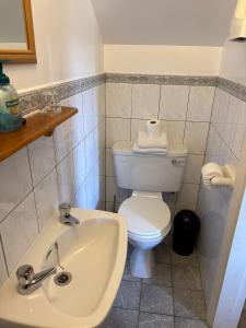 a bathroom with a white toilet and a sink at Sea Breeze B&B in Clonakilty
