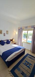 a bedroom with a large bed and a large window at 4S Hotel Dahab in Dahab +24 photos