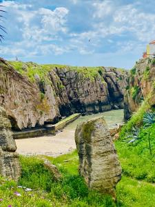 a rock in the grass next to a body of water at Casa Alto da Vela in Peniche