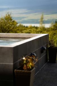 a plant in a pot on a wall with a view at Hotel Hallormsstadur in Egilsstaðir