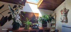a room with potted plants on a wooden table at Le Grenier d'Artiste in Laguépie
