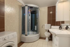 a bathroom with a shower and a toilet and a sink at Peacefull Apartment with Garden and Barbeque in Biograd na Moru