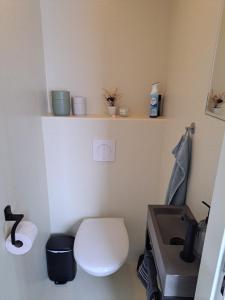 a bathroom with a white toilet in a room at ZEEMEEUW - Platz 31, Olmenduin in Serooskerke +15 photos