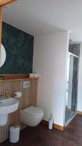 a bathroom with a toilet and a sink at Cottages Lyndale Farm in Flashader +35 photos