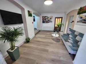 a living room with a couch and a tv at Central Residence Targu Mures in Târgu-Mureş