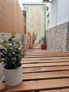 a potted plant sitting on a wooden bench at Albatros centro Lucena in Lucena
