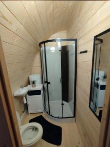 a bathroom with a shower and a toilet and a sink at Au petit chalet in Meisenthal