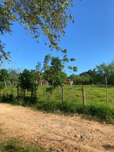 a field with trees and a dirt road at las casitas acogedora in Las Galeras